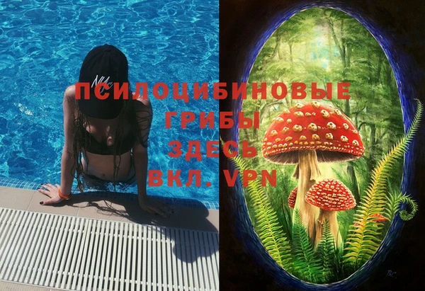 винт Абаза