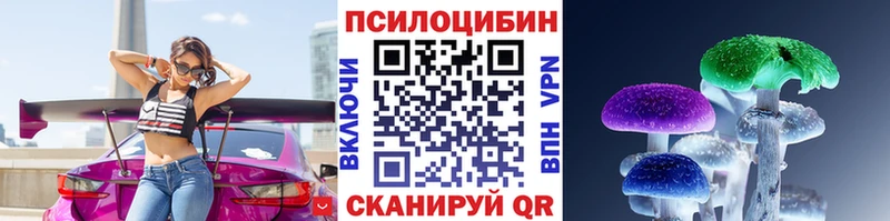Псилоцибиновые грибы Psilocybe  Монино 